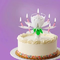 Свеча декоративная музыкальная "Тюльпан" Белая 14,5х6 см 2919688